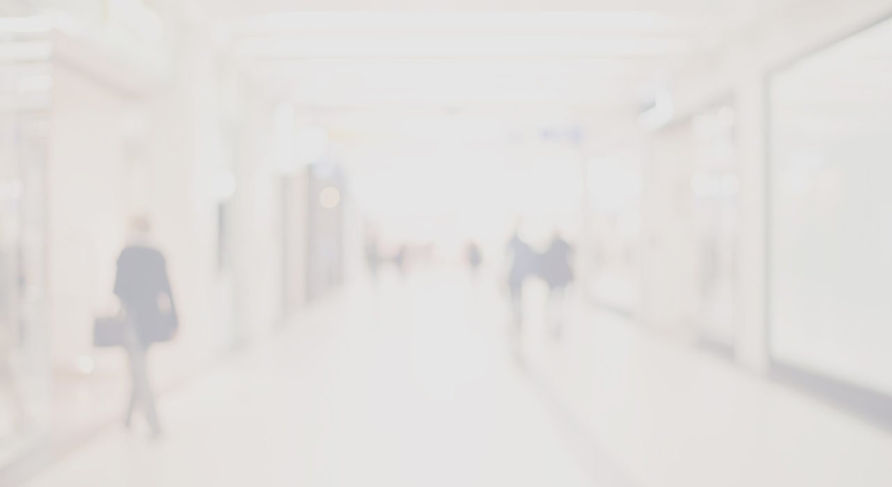 Fos Dog Web & Seo Projects