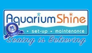 aquarium shine
