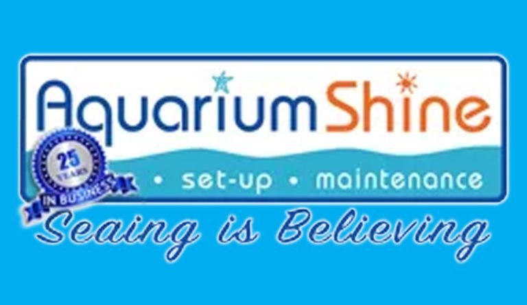 aquarium shine