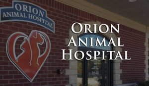 Orion Animal Hospital