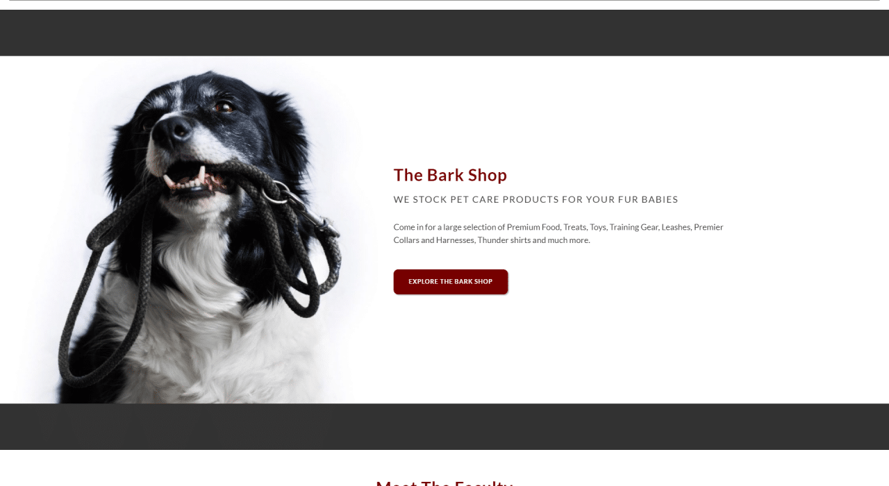 Canine College Screenshot