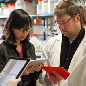 affordable local seo services michigan